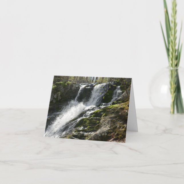 Tarjeta Cascadas de Lands Run (Anverso)