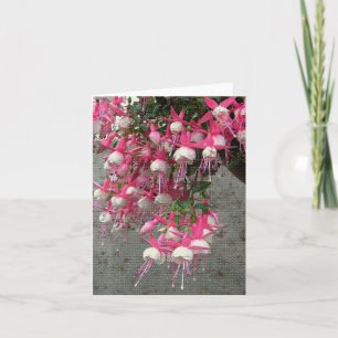 TARJETA "CASCADING PINK & WHITE FUCHISA"