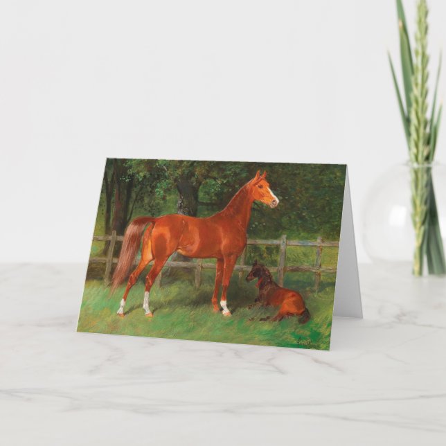Tarjeta Castaño con ternera en la pradera | Hans Haag (Anverso)