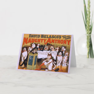 Tarjeta ¡Cat Chorus! -Tarjeta mediana