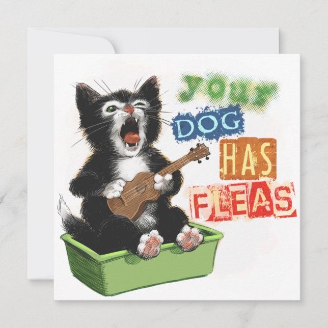 Tarjeta Cat con Ukulele (Anverso)