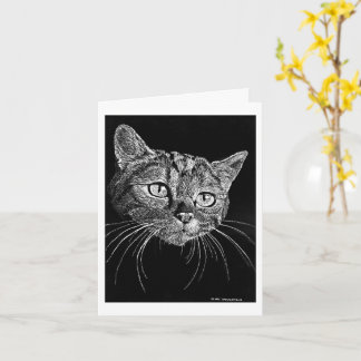 Tarjeta Cat Face Scratch Board Drawing card  