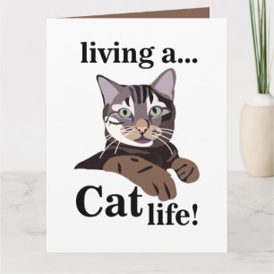 Tarjeta Cat Funny Mascota