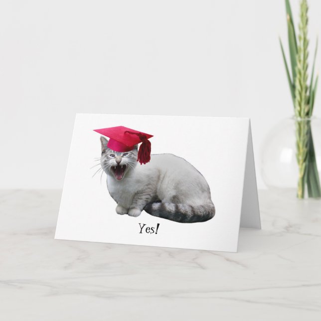 Tarjeta Cat Graduation  Card (Anverso)