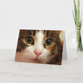 Tarjeta Cat Greeting Card