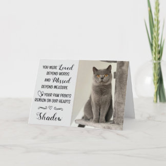 Tarjeta Cat Loss Sympathy Card Personalized Photo Pet Name