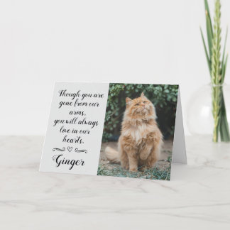 Tarjeta Cat Loss Sympathy Card Personalized Photo Pet Name