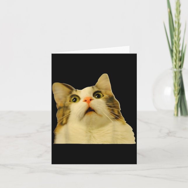 Tarjeta Cat Meme Shock Cat Face Funny Meme Cat Silly Gift  (Anverso)