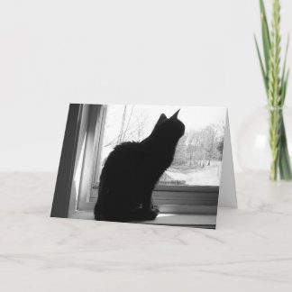 Tarjeta Cat Mirando