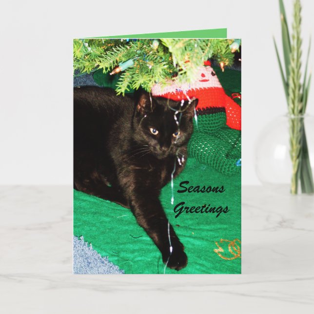Tarjeta CAT NEGRA para navidades (Anverso)