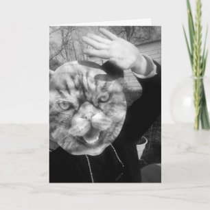 TARJETA CAT PERSONA FUNNY BIRREETING CARDS