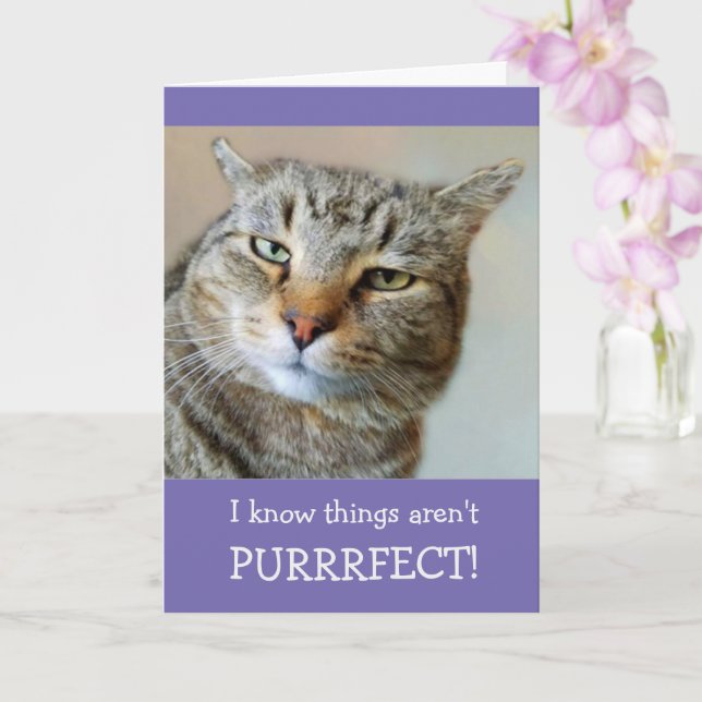 Tarjeta Cat Pun Y Chiste Mejoran (Orquídea)