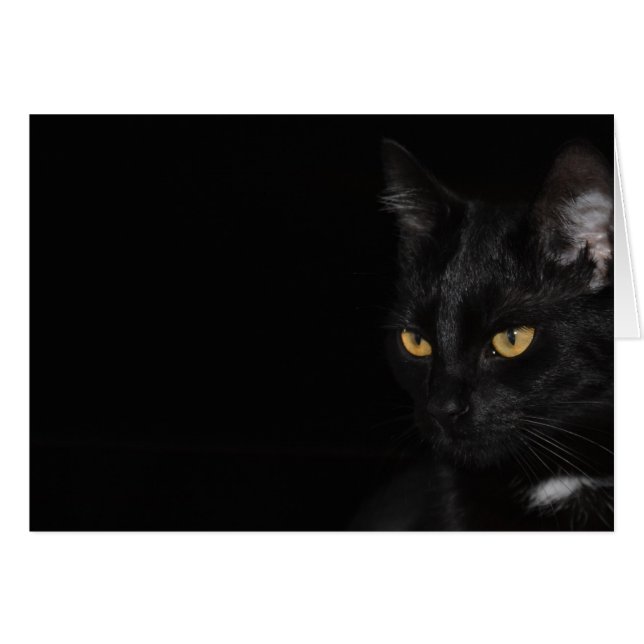 Tarjeta - Cat - Purr (Anverso (Horizontal))