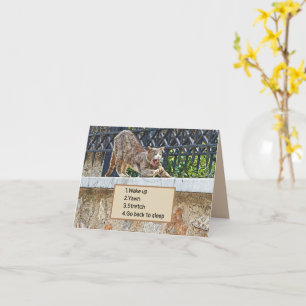 TARJETA CAT STRETCHING Y YAWNING/MAÑANA RUTINA