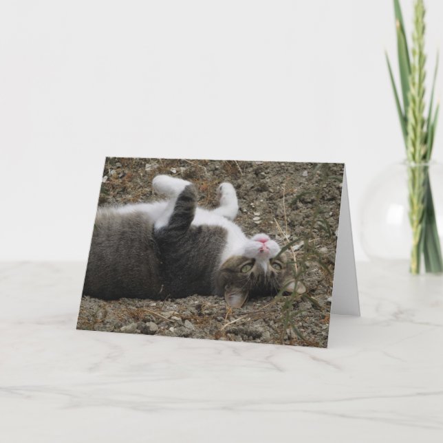 Tarjeta Cat Upside Down Easter (Anverso)