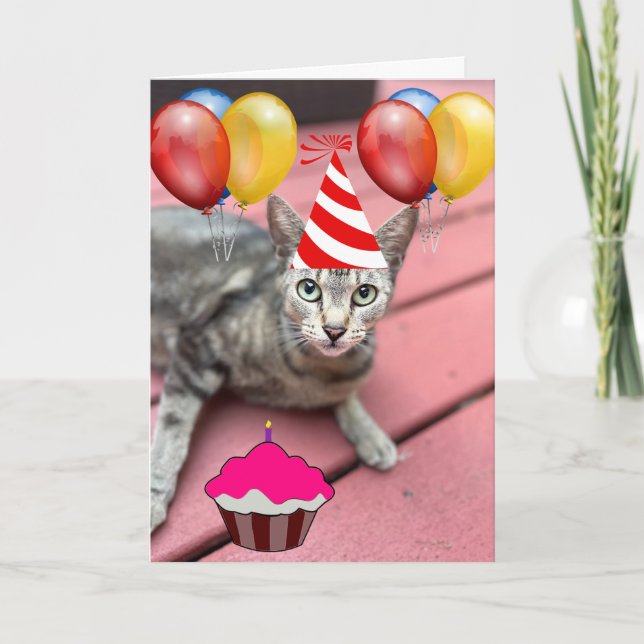Tarjeta CAT USANDO FIESTA GORRA FUNNY BIRTHDAY Greeting Ca (Anverso)