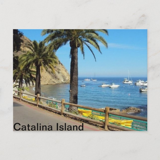 Tarjeta Catalina Island Post (Anverso)