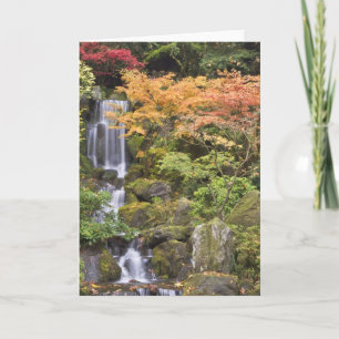 Tarjeta Cataratas celestiales y colores del otoño