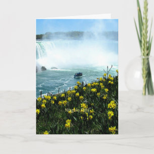 Tarjeta Cataratas del Niágara, Fotografía escénica,