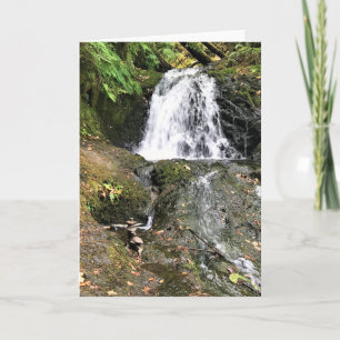 Tarjeta Cataratas Dell de Shepperd, Oregon