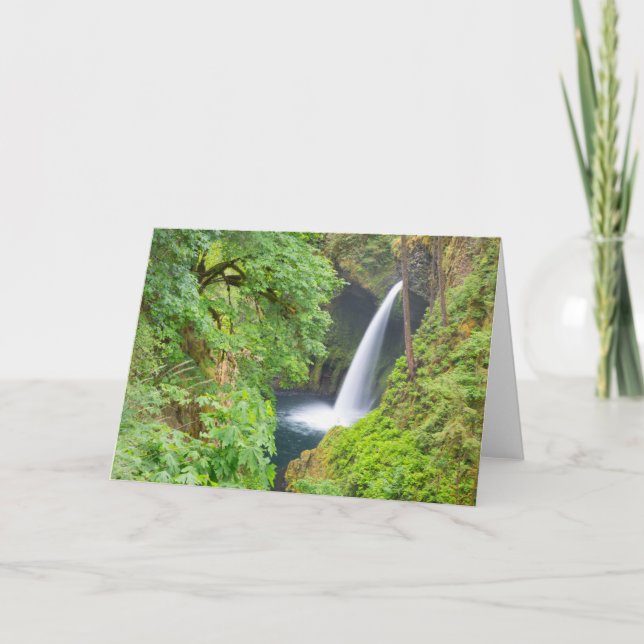 Tarjeta Cataratas Metlako (Anverso)