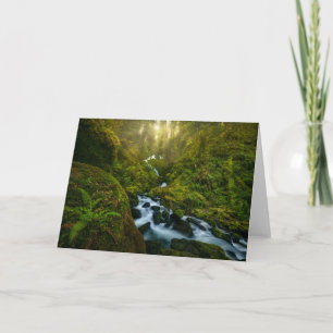 Tarjeta Cataratas   Parque Nacional Olímpico, Washington