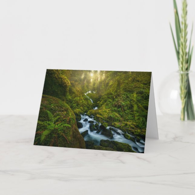 Tarjeta Cataratas | Parque Nacional Olímpico, Washington (Anverso)