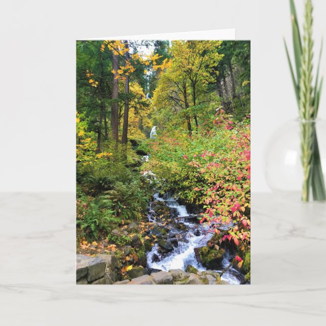 Tarjeta Cataratas Wahkeena, desfiladero del río Columbia,  (Anverso)