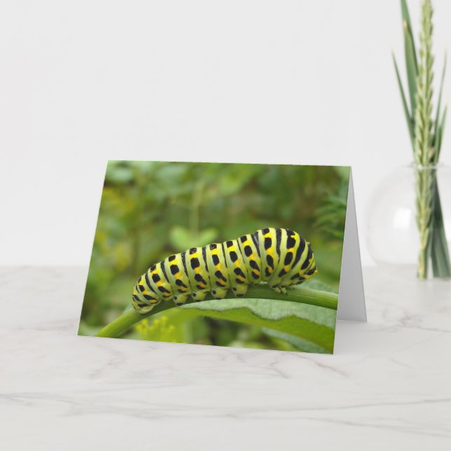 Tarjeta Caterpillar Notecard (Anverso)