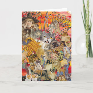 Tarjeta Cats a Plenty Greet Card