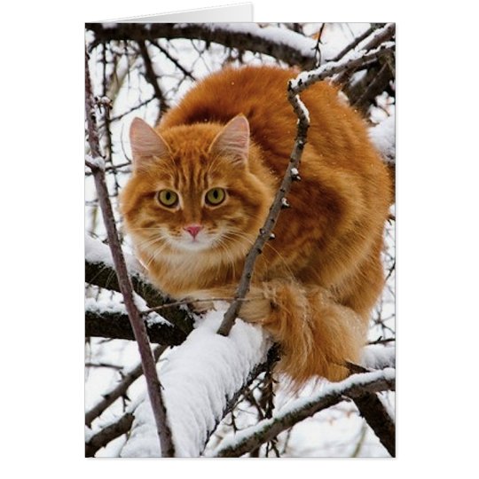 Tarjeta cats_and_snow_ (14)