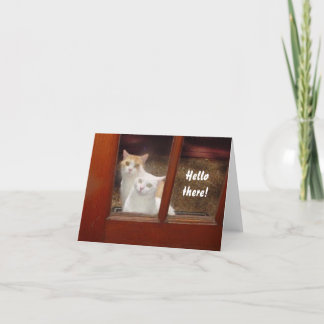 Tarjeta Cats divertidos Notecard