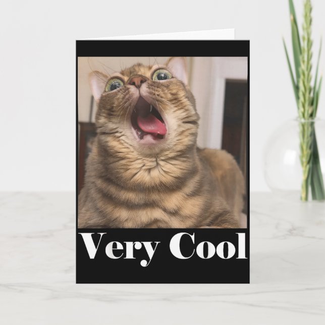 Tarjeta Cats Meme Graphic Silly Cat Humor Funny Cat Very C (Anverso)