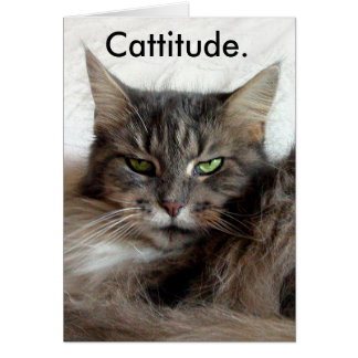 Tarjeta Cattitude