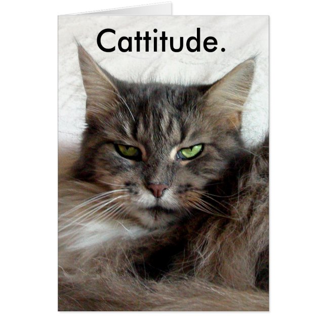 Tarjeta Cattitude (Frente)