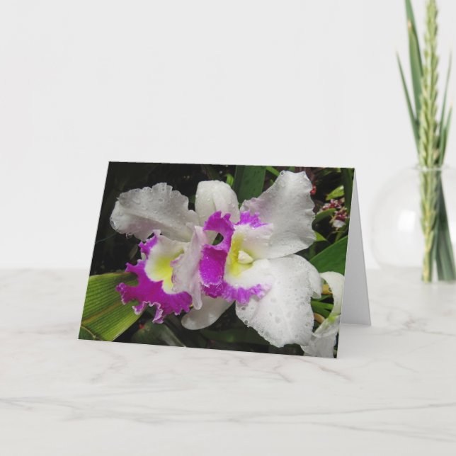 Tarjeta Cattleya Orchid (Anverso)