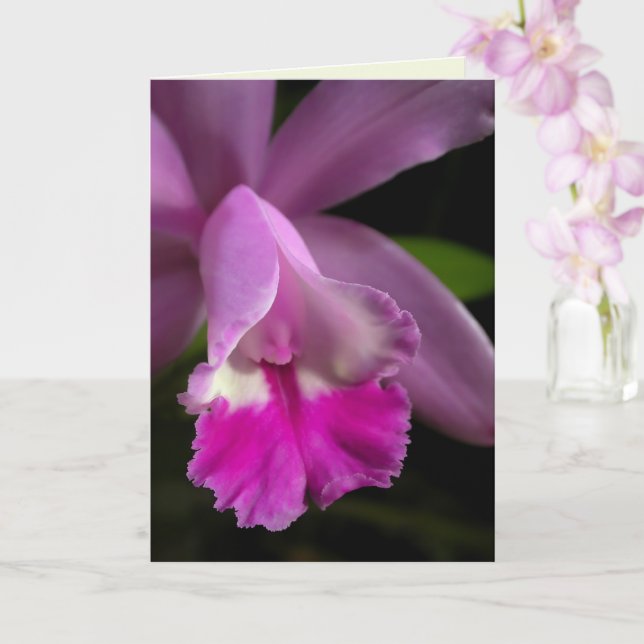 Tarjeta Cattleya Orchid (Orquídea)