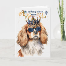 Cavalier King Charles Dog King por un cumpleaños