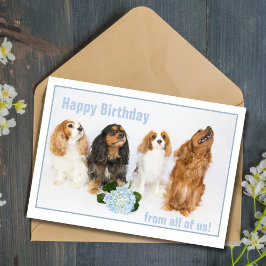 Tarjeta Cavalier King Charles Dog, trabajador de cumpleaño