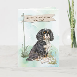 Tarjeta Cavalier King Charles felicita a nuevo perro