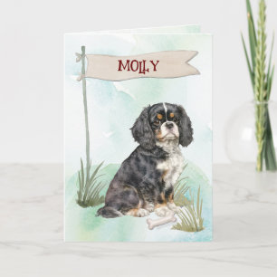 Tarjeta Cavalier King Charles felicita al nuevo perro