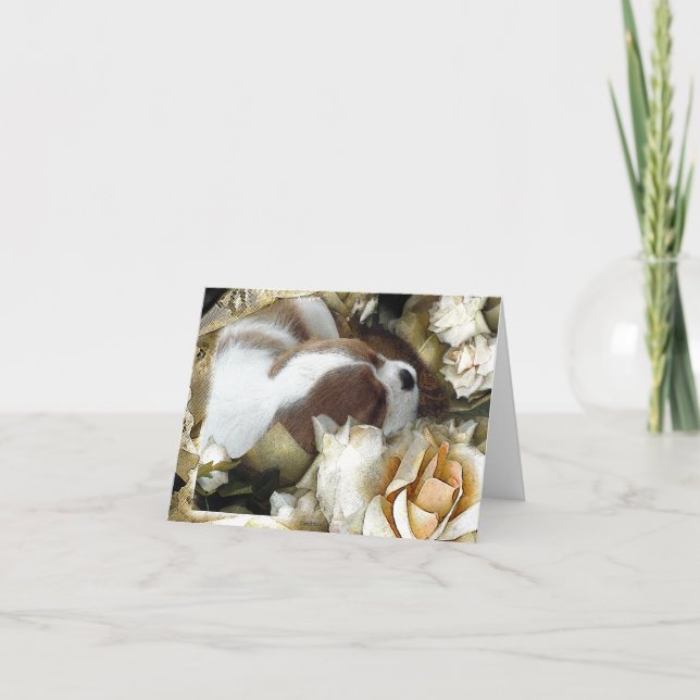 Tarjeta Cavalier King Charles Spaniel (Anverso)