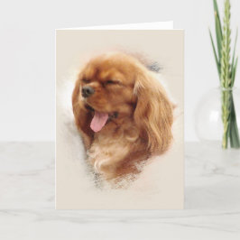 Tarjeta Cavalier King Charles Spaniel