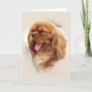 Tarjeta Cavalier King Charles Spaniel