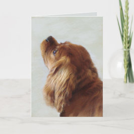 Tarjeta Cavalier King Charles Spaniel