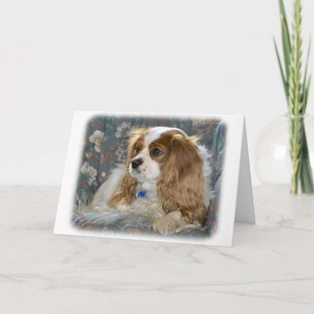 Tarjeta Cavalier King Charles Spaniel 8R16D-01 (Anverso)