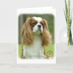 Tarjeta Cavalier King Charles Spaniel 9F097D-08