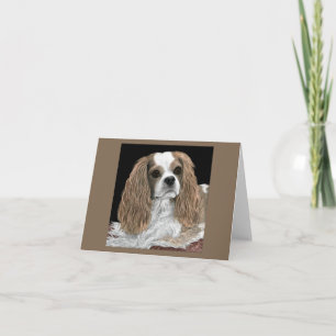 Tarjeta Cavalier King Charles Spaniel - Bella
