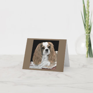 Tarjeta Cavalier King Charles Spaniel - Bella
