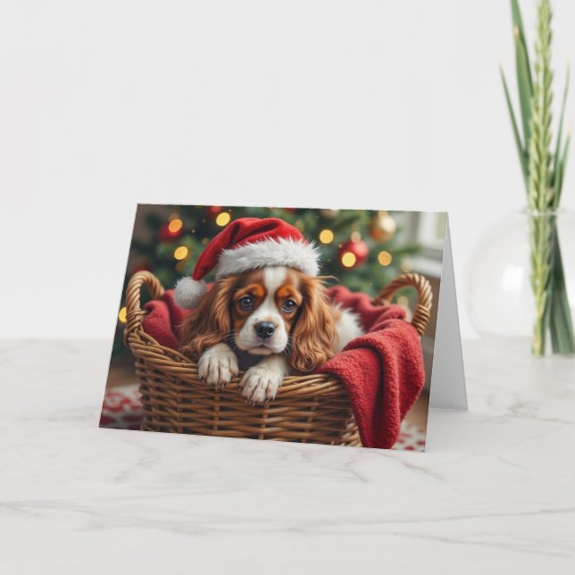 Tarjeta Cavalier King Charles Spaniel Cozy Basket (Anverso)
